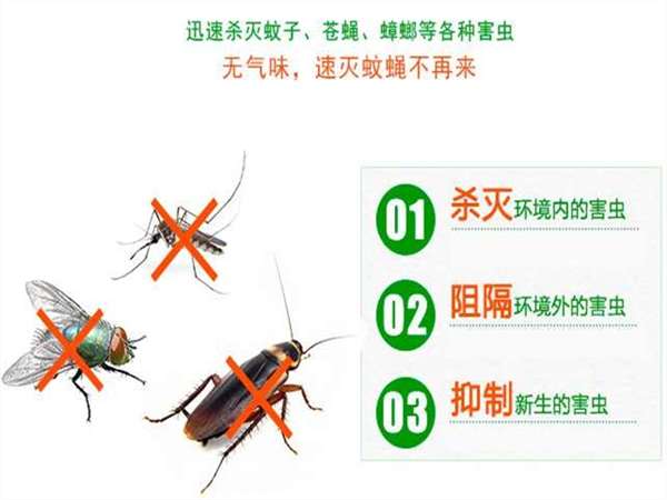 河南室内除蟑螂,郑州卧室除蟑螂费用,除蟑螂联系方式