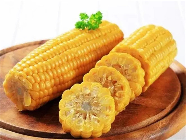 新乡玉米种子售价_山东玉米种子生产_郑州玉米种子购买