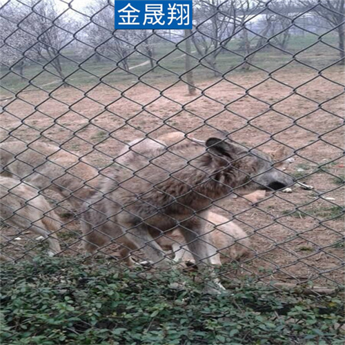 绵阳包塑勾花网厂家