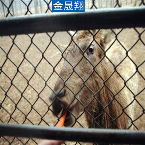 成都包塑勾花网销售