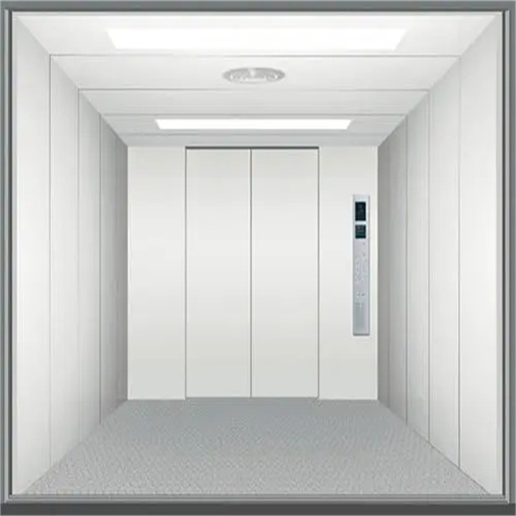 四川载货电梯价格 成都自动扶梯生产 眉山家用电梯安装公司