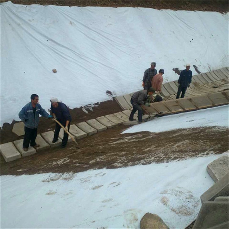 西藏人工湖土工膜生产厂家
