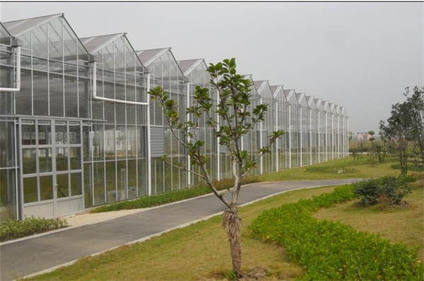 成都玻璃温室大棚厂家_内江养殖大棚价格_达州连栋温室大棚搭建