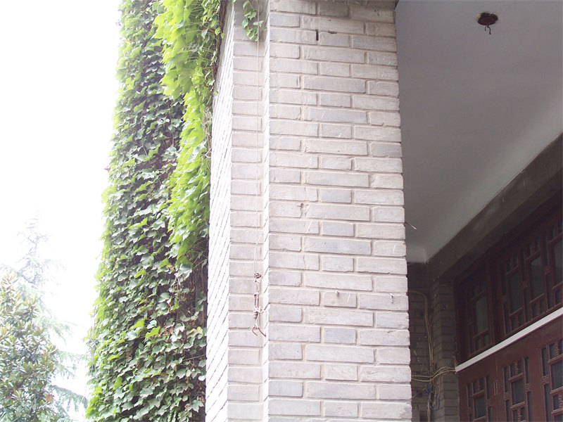 陕西石质文物砖墙清洗工程