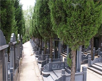 西安C1型墓地收费