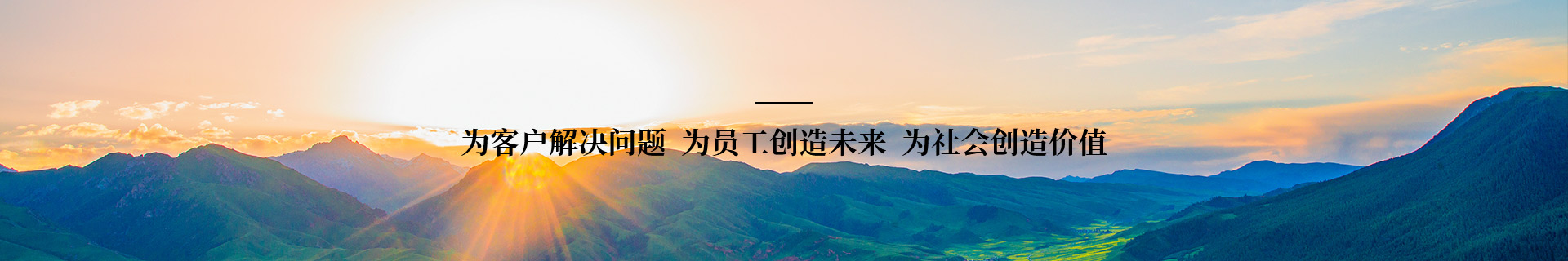 应用领域