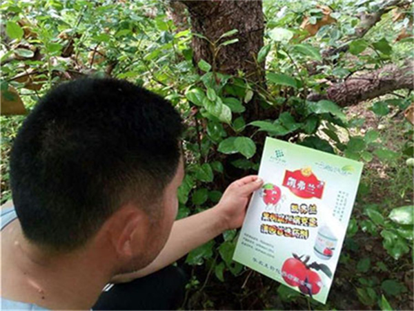 山西农药销售商果树香港正版六六宝典克星药剂