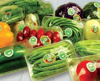 秋季應吃什么果蔬好呢？鄭州蔬菜配送公司分享大家氣類果蔬產品