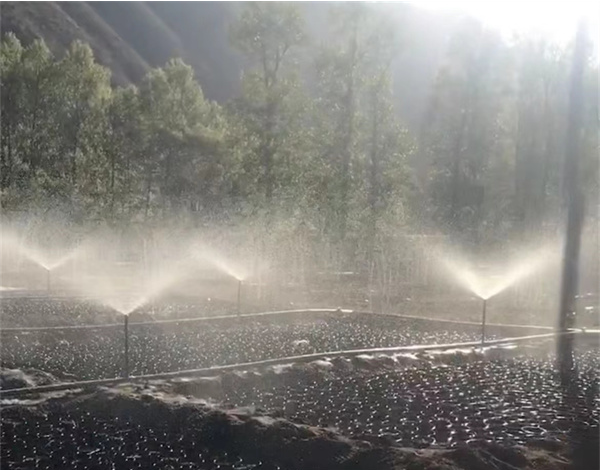 大田农业灌溉系统如何解决农业用水浪费问题
