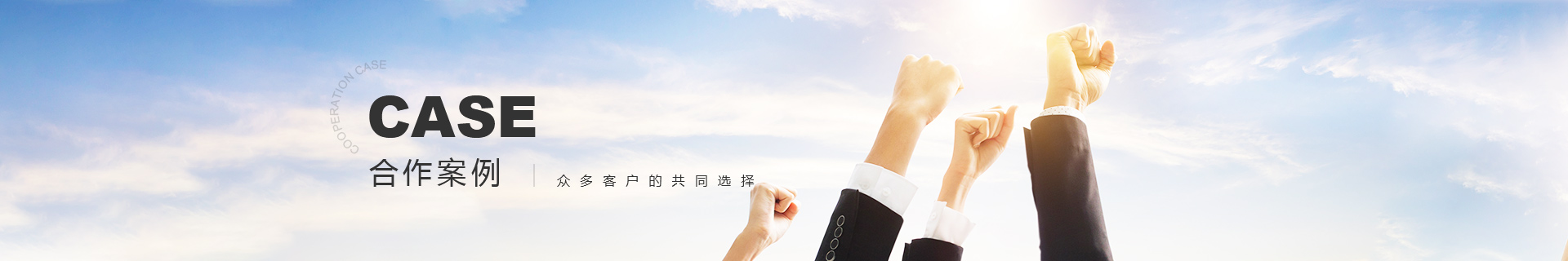 项目案例