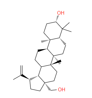 白桦脂醇 Betulin  473-98-3标准品 对照品