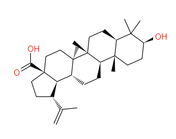 四川白桦脂酸 Betulinic acid  472-15-1标准品 对照品
