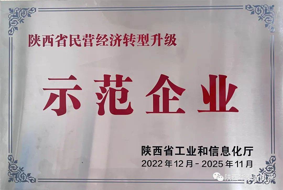 陜西省民營經濟轉型升級示范企業
