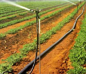 农用滴灌管：节水..的灌溉利器