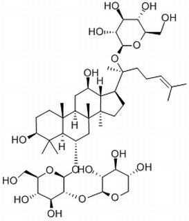 三七皂苷R1 Notoginsenoside R1 80418-24-2标准品 对照品
