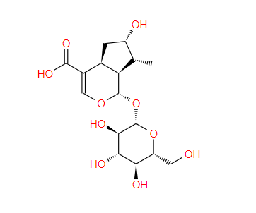 马钱苷酸 Loganic acid 22255-40-9标准品 对照品