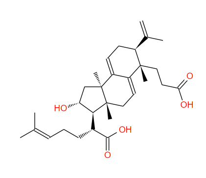 茯苓酸B poricoic acid B 137551-39-4标准品 对照品