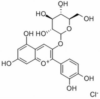 矢车菊素-3-O-葡萄糖苷 7084-24-4标准品 对照品
