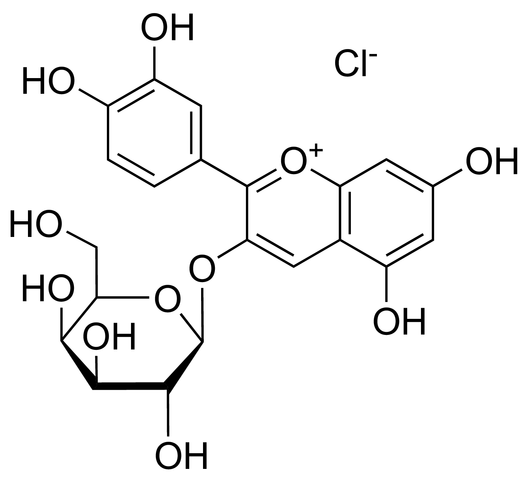 矢车菊素半乳糖苷 Idaein chloride 27661-36-5标准品 对照品