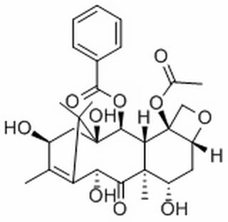 10－脱乙酰基巴卡丁III 10-Deacetylbaccatin III 32981-86-5标准品 对照品