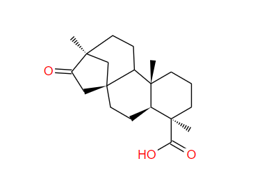 异甜菊醇 Isosteviol 27975-19-5标准品 对照品