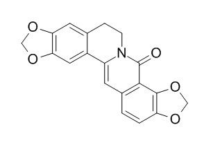 8-氧黄连碱 8-Oxycoptisine 19716-61-1标准品 对照品