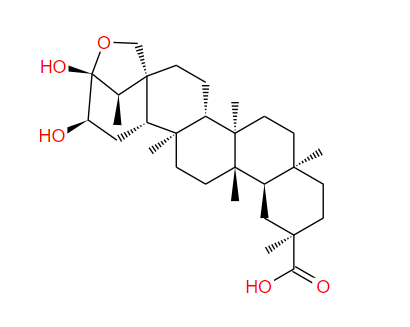 直楔草酸 Orthosphenic acid 86632-20-4标准品 对照品