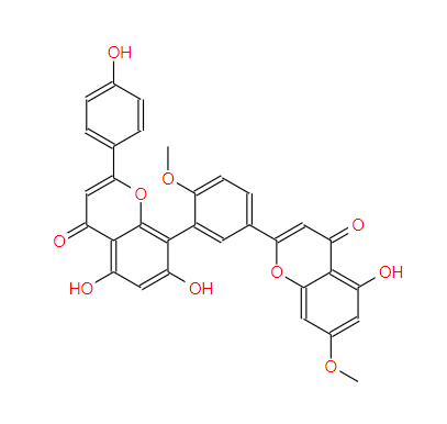 银杏双黄酮 Ginkgetin 481-46-9标准品 对照品