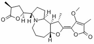 原百部碱 protostemonine 27495-40-5标准品 对照品