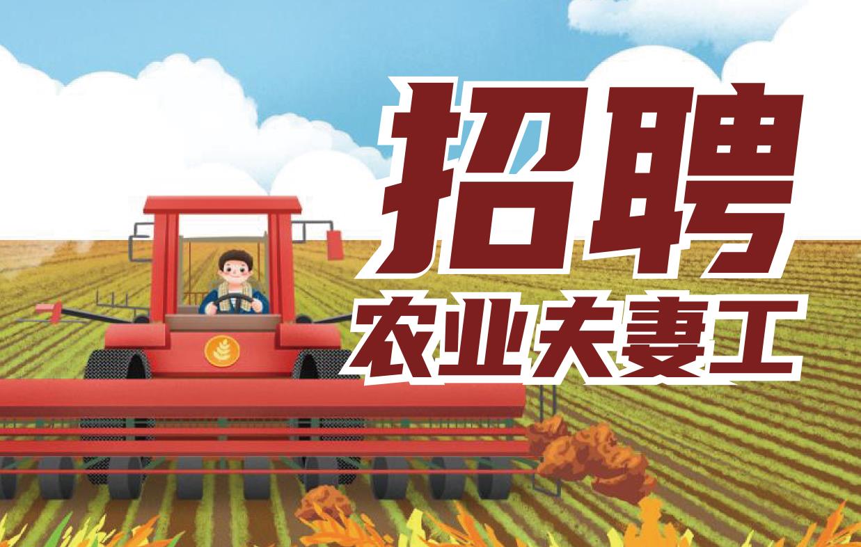 招聘日本农业夫妻工
