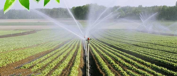 我们来聊聊水肥一体化灌溉技术吧！