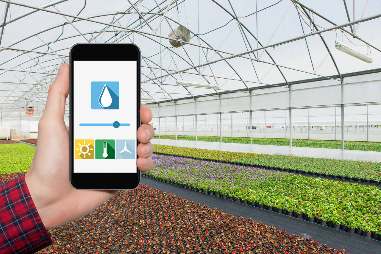 智能温室：未来农业的新篇章