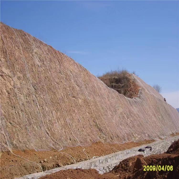 四川绿化铁丝网