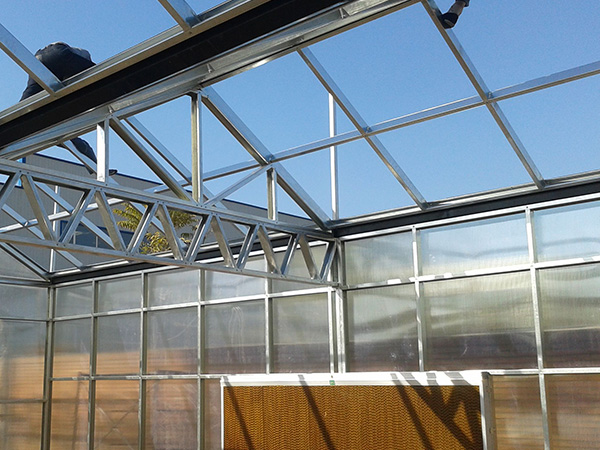 温室大棚为什么要用玻璃或透明塑料结构？