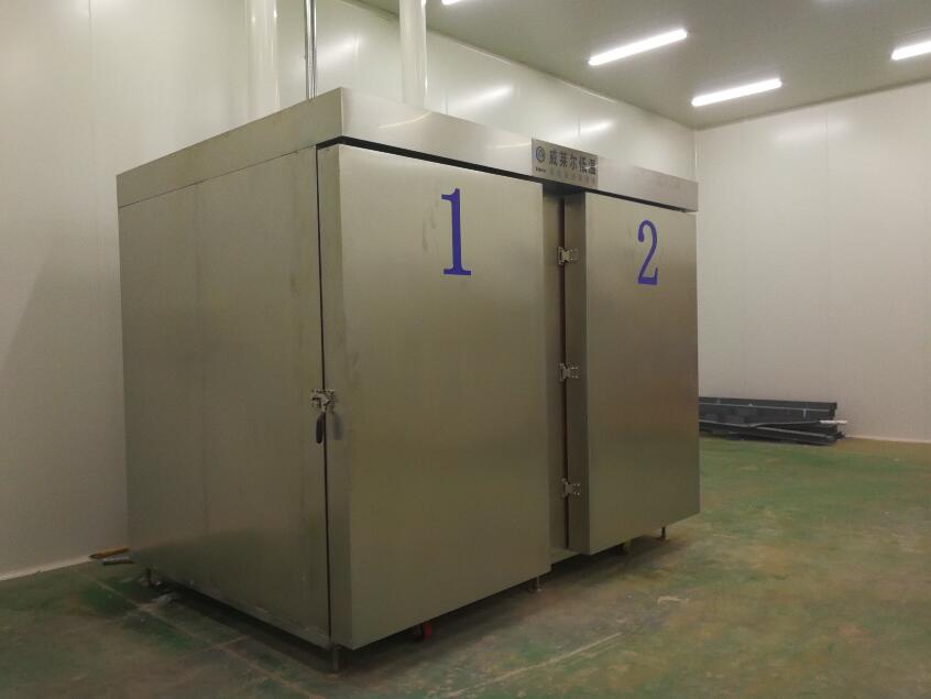 四川雙門液氮速凍柜銷售