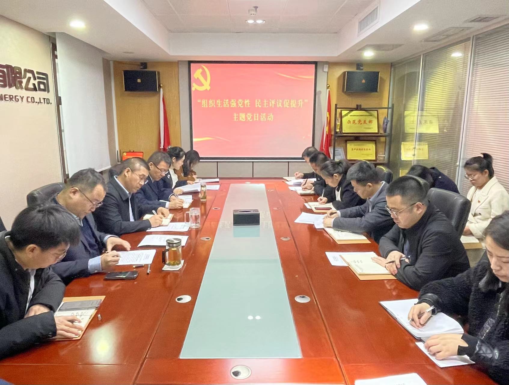 宜威公司舉辦“組織生活強(qiáng)黨性 民主評議促提升”主題黨日活動