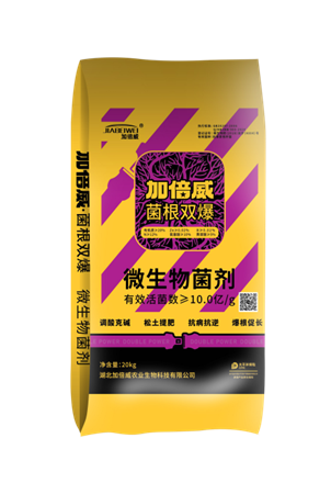 抗病抗重茬菌剂