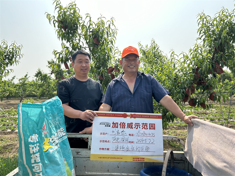 加倍威示范园  追施金生物巨能