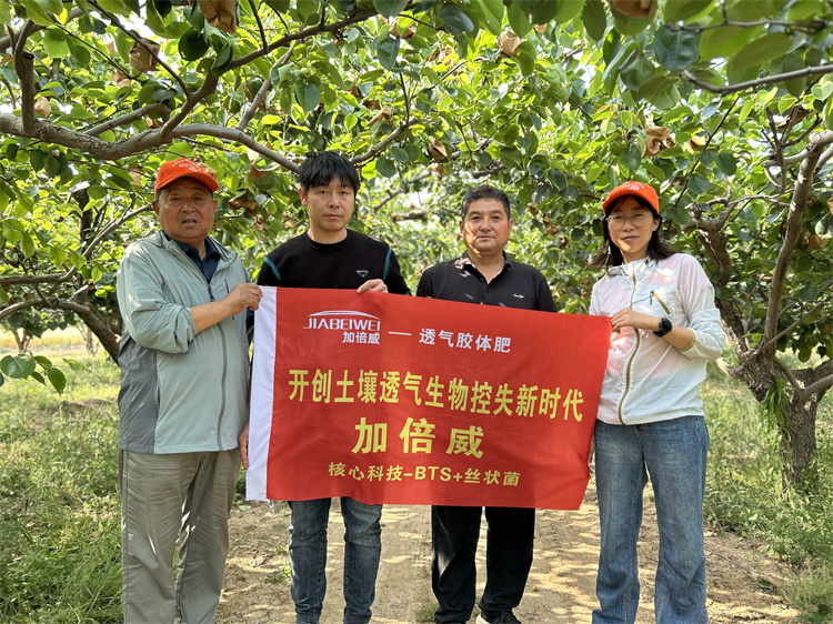 加倍威 一透气胶体肥 ..土壤透气生物控失新时代 核心科技-BTS+丝状菌