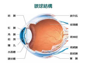 河南眼底病变**之后的保养工作该如何跟进呢？