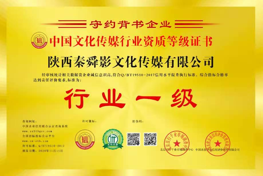 媒體行業(yè)等級資質(zhì)證書