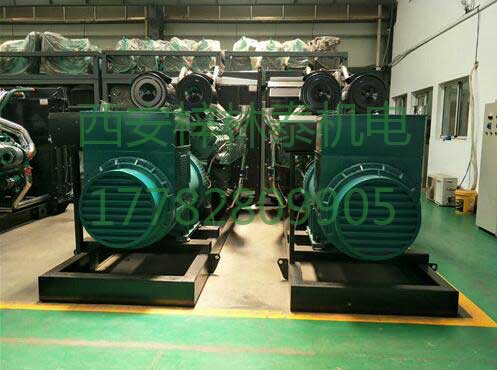 西安柴油发电机高压油泵维修保养知识