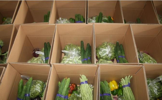 蔬菜配送企业管理模式的探讨