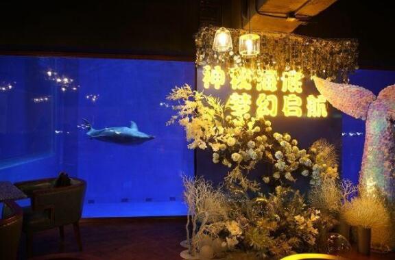 西安海底餐厅梦幻起航 与海豚鲨鱼共享美食