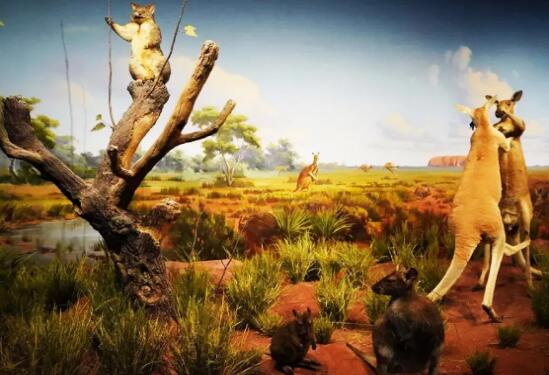 陕西自然博物馆展览馆设计