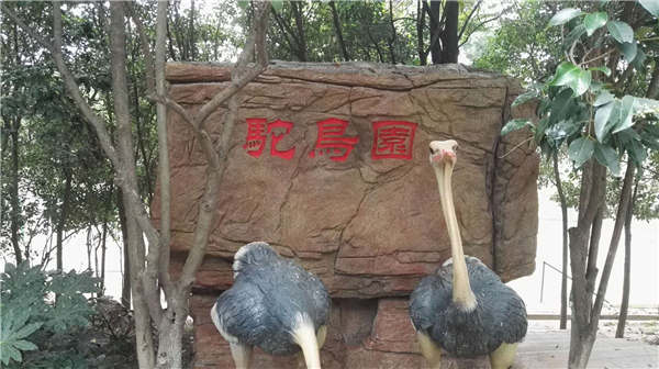 揭秘：陝西假山假樹爆火的背後