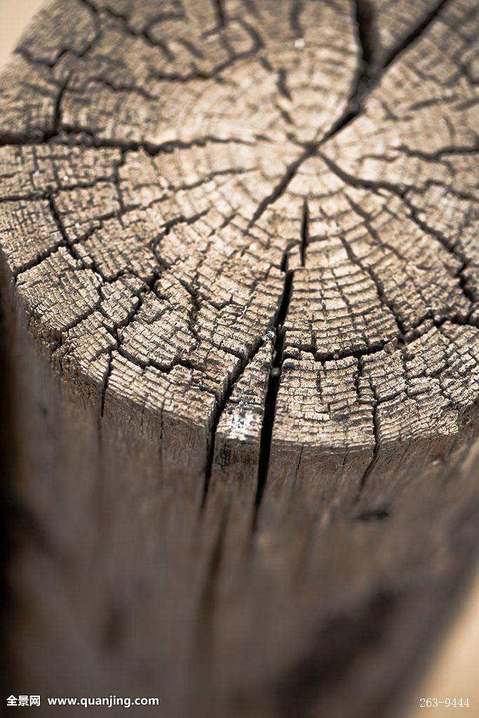 关于木屋———木头开裂问题
