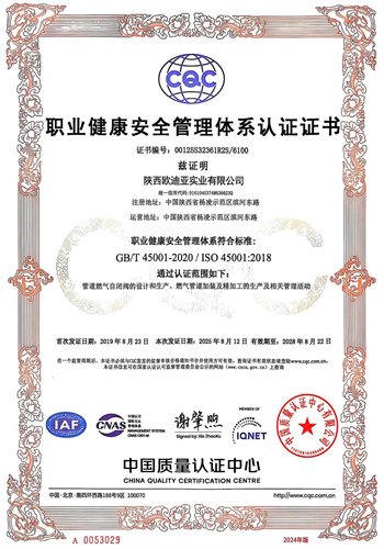 职业健康安全管理体系证书
