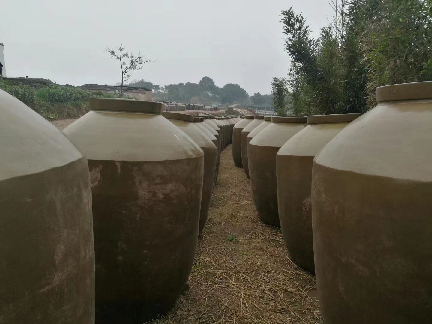 四川酒坛厂家带你了解泡酒到底是陶瓷酒坛好还是玻璃酒坛好呢?