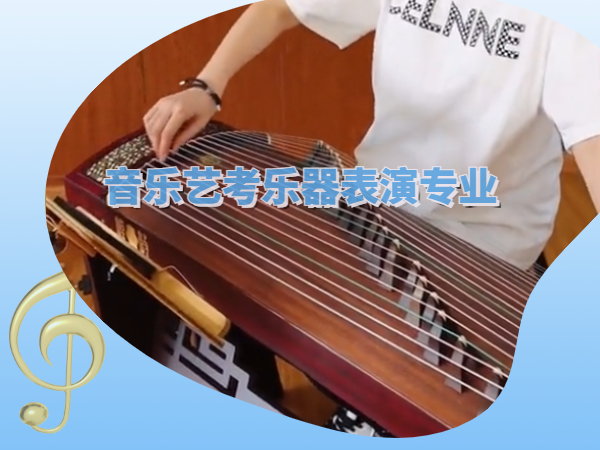 音乐艺考专业乐器表演培训